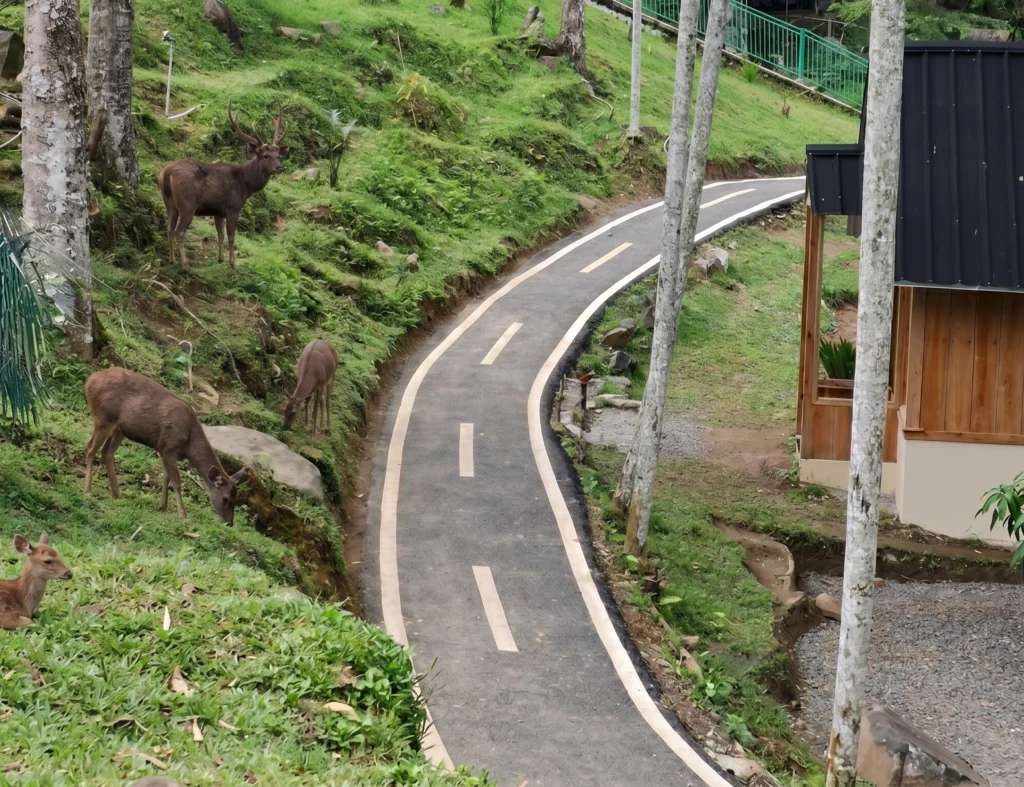 Penangkaran rusa di Tahura Wan Abdul Rachman Lampung dengan suasana hutan alami